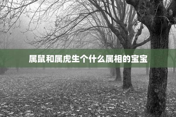 属鼠和属虎生个什么属相的宝宝