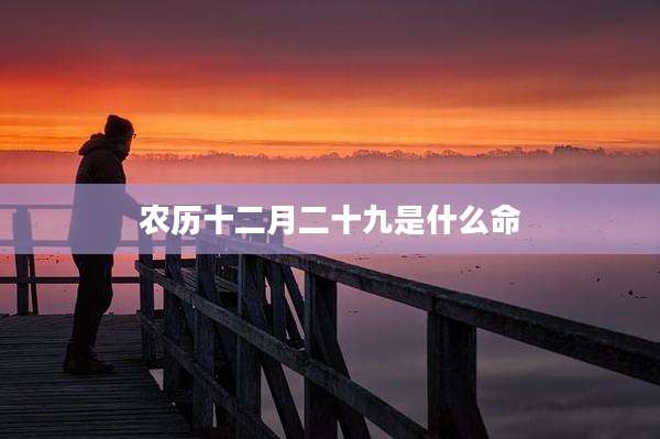 农历十二月二十九是什么命