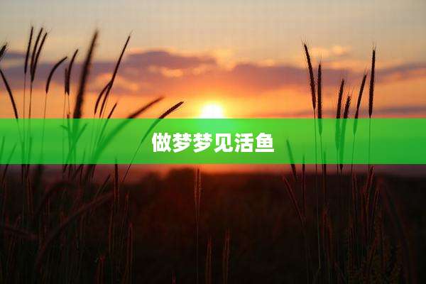 做梦梦见活鱼
