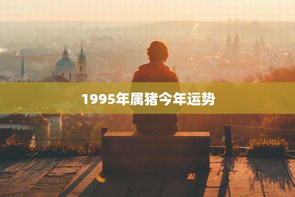 1995年属猪今年运势
