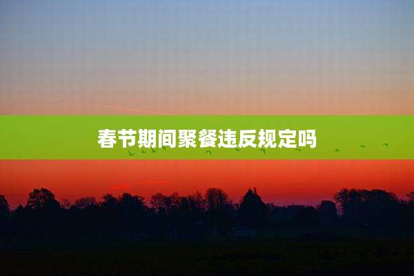 春节期间聚餐违反规定吗