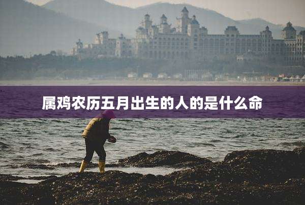 属鸡农历五月出生的人的是什么命