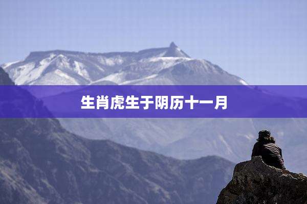 生肖虎生于阴历十一月