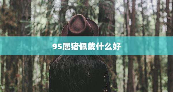 95属猪佩戴什么好