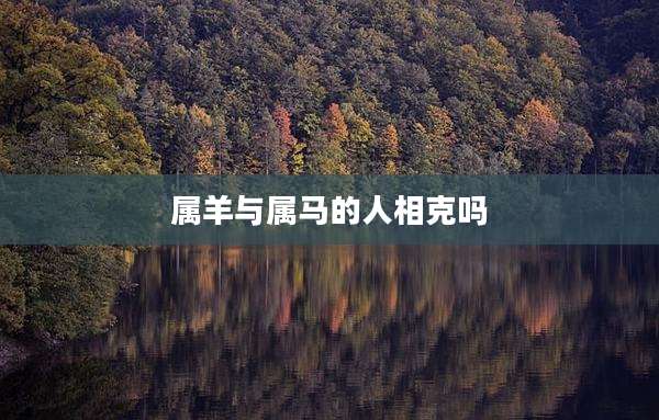 属羊与属马的人相克吗