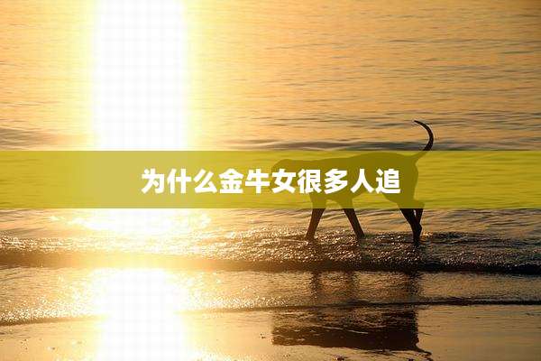 为什么金牛女很多人追