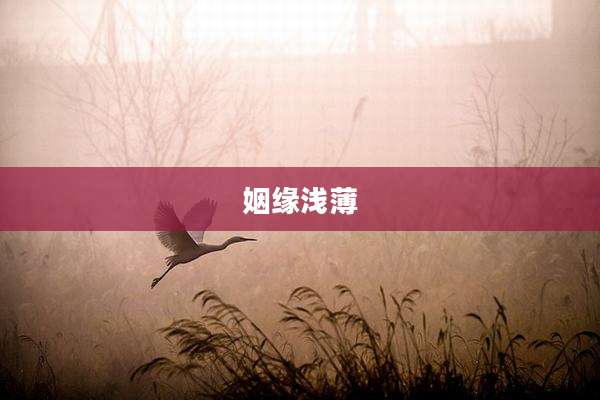 姻缘浅薄