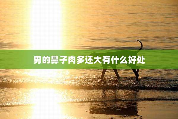 男的鼻子肉多还大有什么好处