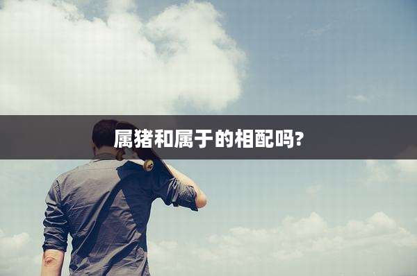 属猪和属于的相配吗?