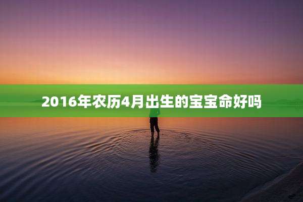 2016年农历4月出生的宝宝命好吗