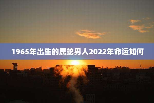 1965年出生的属蛇男人2022年命运如何