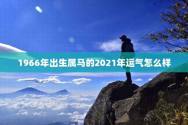 1966年出生属马的2021年运气怎么样