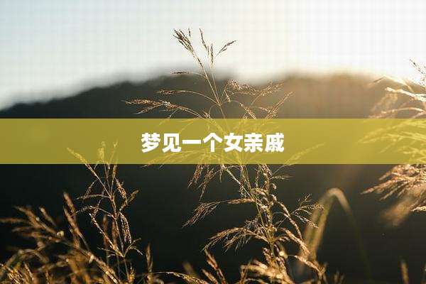 梦见一个女亲戚