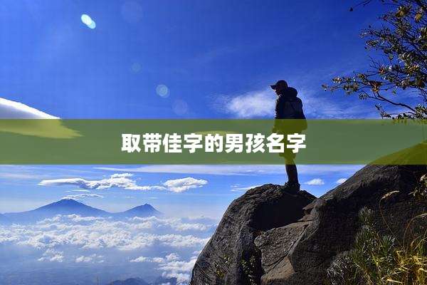 取带佳字的男孩名字