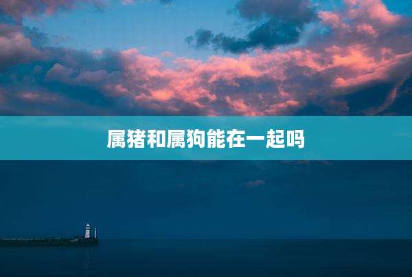 属猪和属狗能在一起吗
