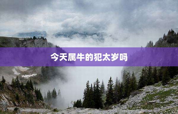 今天属牛的犯太岁吗