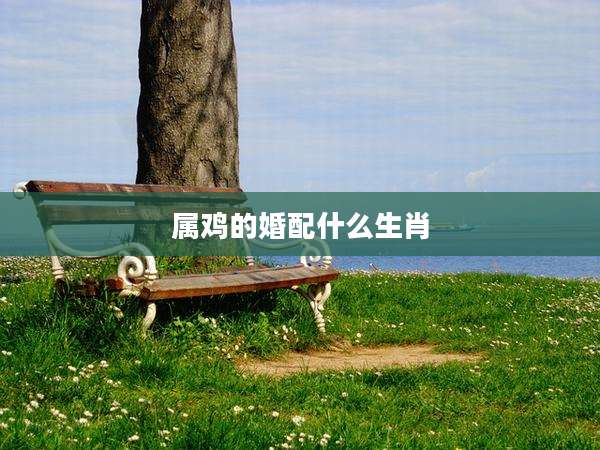 属鸡的婚配什么生肖