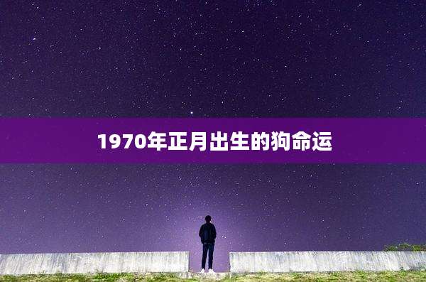 1970年正月出生的狗命运
