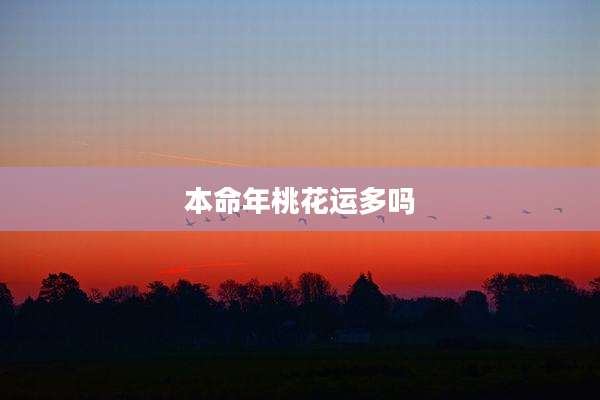 本命年桃花运多吗