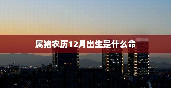 属猪农历12月出生是什么命