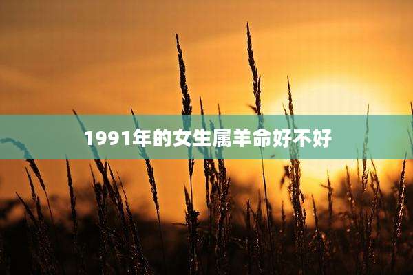 1991年的女生属羊命好不好