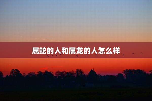 属蛇的人和属龙的人怎么样