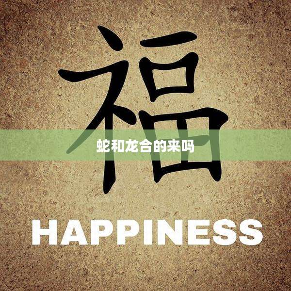 蛇和龙合的来吗