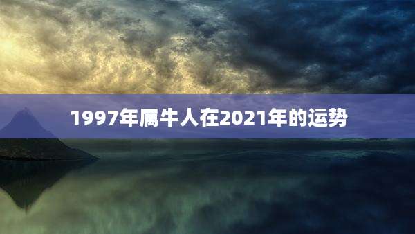 1997年属牛人在2021年的运势