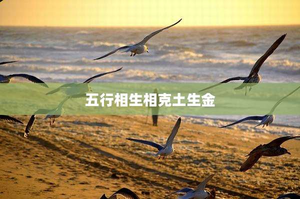 五行相生相克土生金