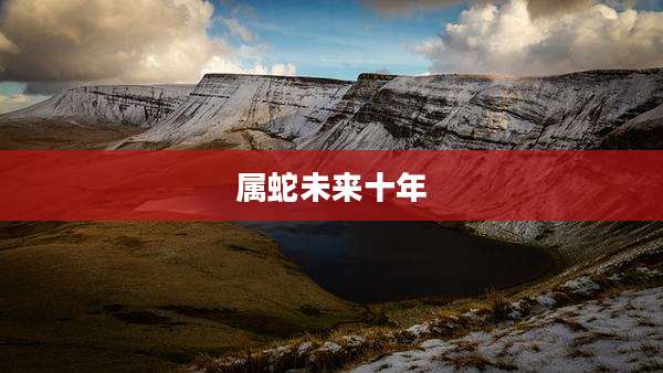属蛇未来十年