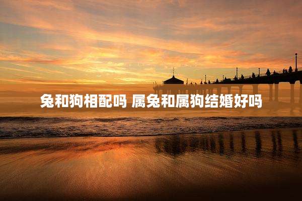 兔和狗相配吗 属兔和属狗结婚好吗