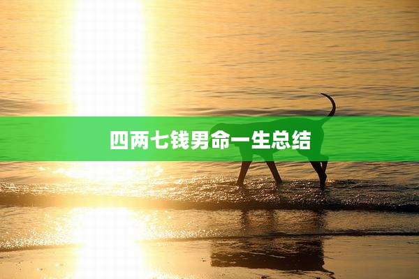 四两七钱男命一生总结
