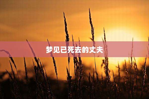 梦见已死去的丈夫