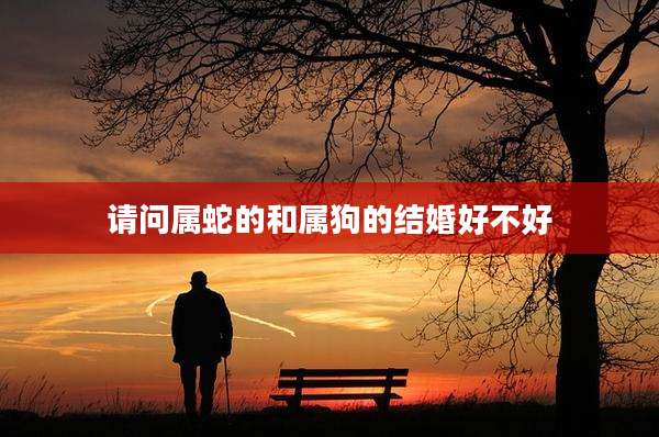 请问属蛇的和属狗的结婚好不好
