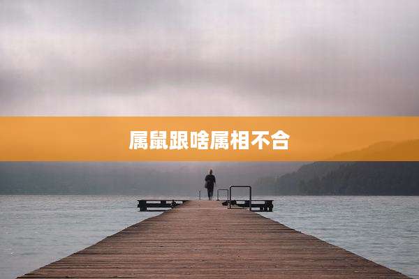 属鼠跟啥属相不合