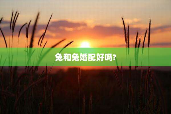 兔和兔婚配好吗?