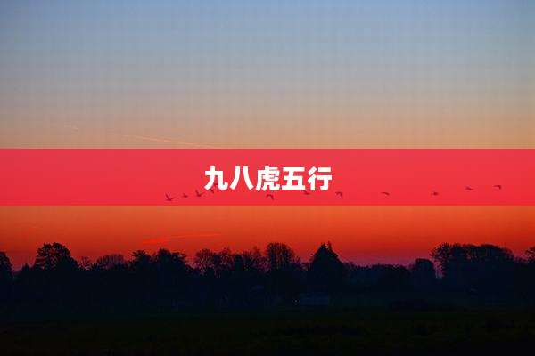 九八虎五行