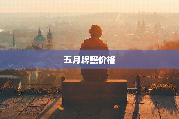 五月牌照价格