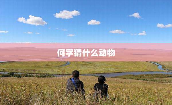 何字猜什么动物