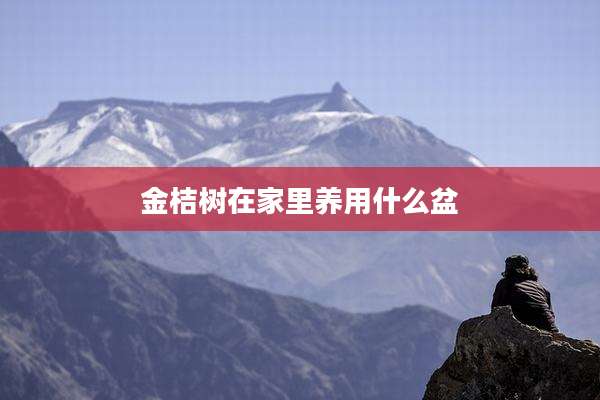 金桔树在家里养用什么盆