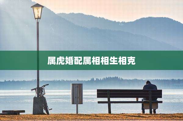 属虎婚配属相相生相克