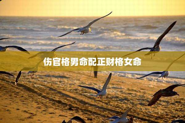 伤官格男命配正财格女命
