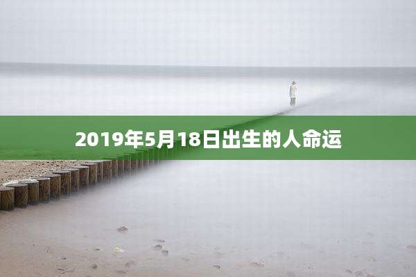 2019年5月18日出生的人命运