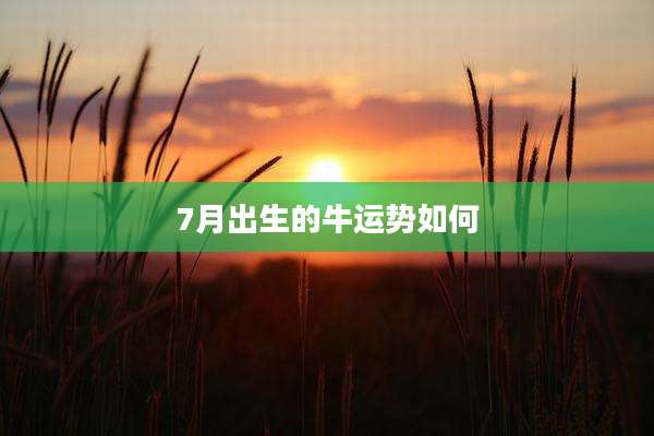 7月出生的牛运势如何
