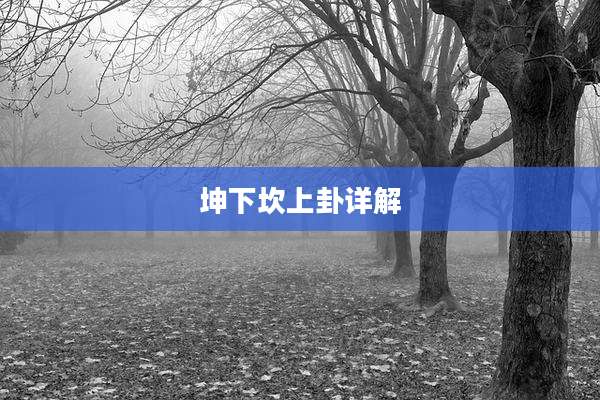 坤下坎上卦详解