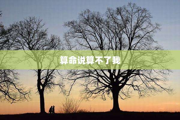 算命说算不了我