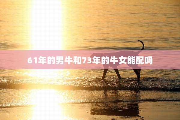 61年的男牛和73年的牛女能配吗