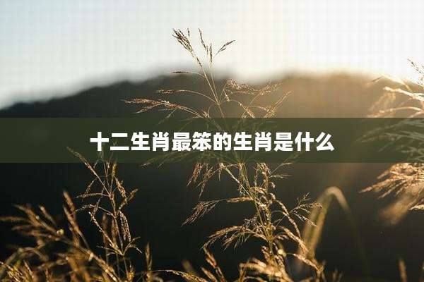 十二生肖最笨的生肖是什么