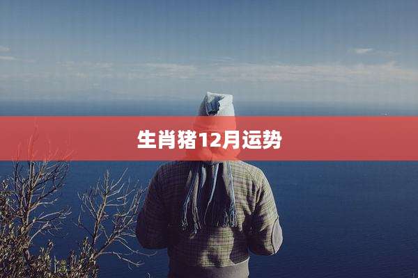 生肖猪12月运势