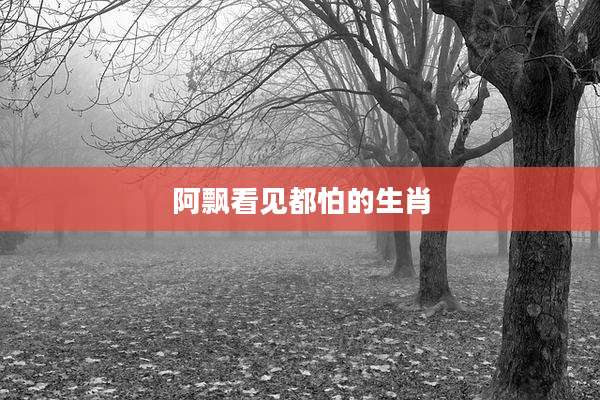 阿飘看见都怕的生肖